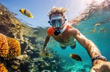 Daymaniyat Island Tour with Snorkelling