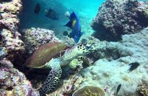 Daymaniyat Island Tour with Snorkelling