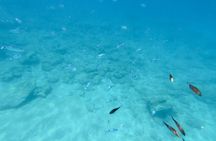 Semi Submarine Swimming Cruise with Anthony Quinn Bay
