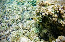 Palma Bay Private Boat Tour with Snorkeling