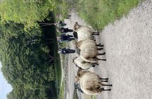 Oslofjord island hopping tour