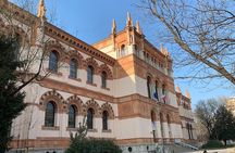 Milan Natural History Museum entry ticket with audio guide