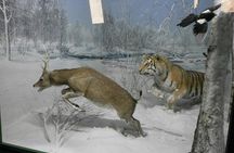 Milan Natural History Museum entry ticket with audio guide