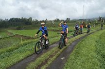 Rural villages and sacred caves cycling adventure in Lombok with lunch