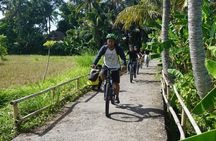 Rural villages and sacred caves cycling adventure in Lombok with lunch