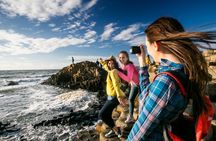 Giant's Causeway, Dark Hedges, and Belfast Tour from Dublin