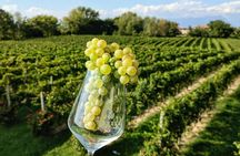 World of Lugana Wines Tour at Lake Garda