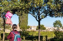 Roman Forum and Palatine Hill Archaeo Rome Guided Tour