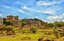 Roman Forum and Palatine Hill Archaeo Rome Guided Tour