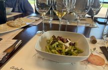 Wine Tasting Experience in the South Slope of Etna