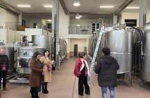 Wine Tasting Experience in the South Slope of Etna