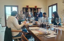 Wine Tasting Experience in the South Slope of Etna