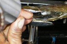 Seawater pearl farm guided tour in Lombok