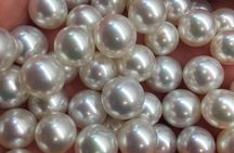 Seawater pearl farm guided tour in Lombok