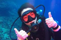 Intro diving for beginners and Red Sea cruise in Sharm El Sheikh