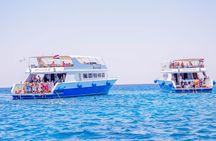 Intro diving for beginners and Red Sea cruise in Sharm El Sheikh