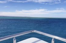 Intro diving for beginners and Red Sea cruise in Sharm El Sheikh