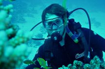 Intro diving for beginners and Red Sea cruise in Sharm El Sheikh