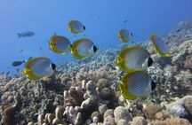 Ras Mohamed pirates adventure from Sharm El Sheikh