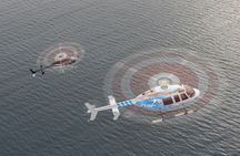 Cape Town Atlantic Seaboard Helicopter Flight with Transfers