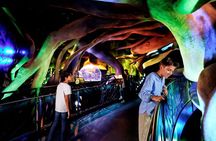 Expo City Attraction Pass