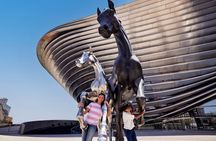 Expo City Attraction Pass
