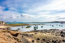 Boa Vista Full Day 4x4 Island Tour with Beachfront Lunch