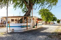Boa Vista Full Day 4x4 Island Tour with Beachfront Lunch
