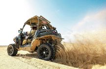 Sal Island Buggy Tour