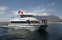 Cape Town coastal motor cruise