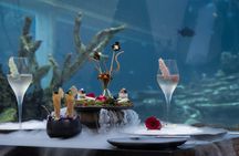 Lunch Experience at Koral Apurva Kempinski