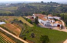 Guided tour to a winery with wine tasting from Barcelona