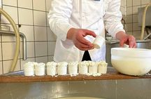 Mozzarella Fior di Latte Experience in Sorrento Peninsula with Tasting