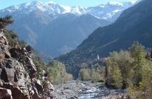 Medina and Ourika Valley Guided Tour with Lunch from Marrakech