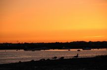 Ria Formosa sunset boat tour from Faro