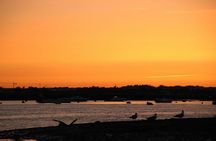 Ria Formosa sunset boat tour from Faro