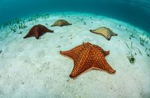 Cielo, Cielito, Palancar and Colombia Reefs Boat Tour
