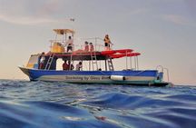 Cielo, Cielito, Palancar and Colombia Reefs Boat Tour