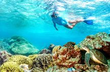 Trip to Al Khairan Island