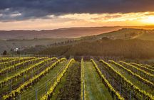 Insiders Wine Tasting Experience in Willamette Valley