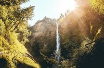 Columbia Gorge Waterfalls Botanical Discovery Hike