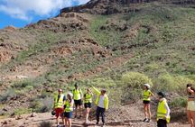 E-Bike Panoramic Mountain Tour with Optional Tapas Tasting