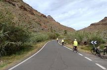 E-Bike Panoramic Mountain Tour with Optional Tapas Tasting