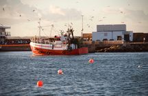 Howth guided coastal walk in Dublin