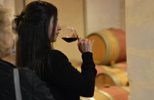 Chateaux and Terroirs Guided Tour on the Bordeaux Wine Roads