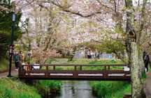 Mount Fuji Views and KABA Amphibious Bus Day Tour