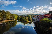 Vineyard with Wine Tasting, River Cruise and Lunch in the Douro Valley