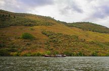 Vineyard with Wine Tasting, River Cruise and Lunch in the Douro Valley