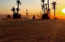 Evening Quad Bike at Palmeraie Area with Tea Tasting from Marrakech
