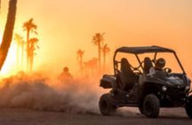 Evening Buggy Ride at Palmeraie Area with Tea Tasting from Marrakech